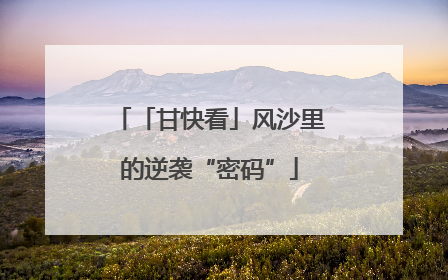 「甘快看」风沙里的逆袭“密码”
