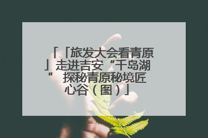 「旅发大会看青原」走进吉安“千岛湖” 探秘青原秘境匠心谷（图）