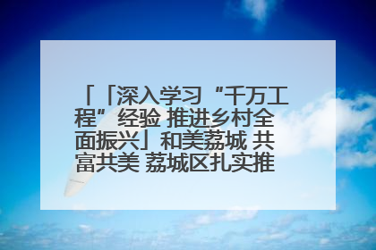 「深入学习“千万工程”经验 推进乡村全面振兴」和美荔城 共富共美 荔城区扎实推进乡村振兴工作