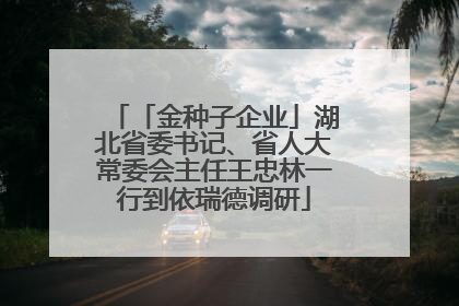 「金种子企业」湖北省委书记、省人大常委会主任王忠林一行到依瑞德调研