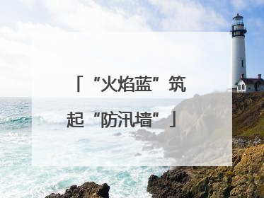 “火焰蓝”筑起“防汛墙”