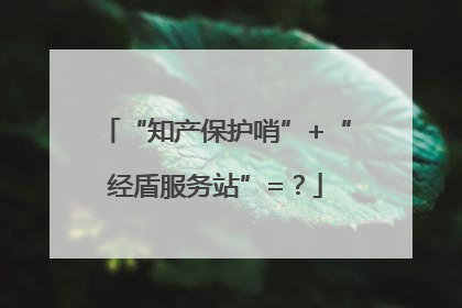 “知产保护哨”+“经盾服务站”=？