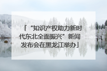 “知识产权助力新时代东北全面振兴”新闻发布会在黑龙江举办