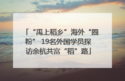 “禹上稻乡”海外“圈粉” 19名外国学员探访余杭共富“稻”路