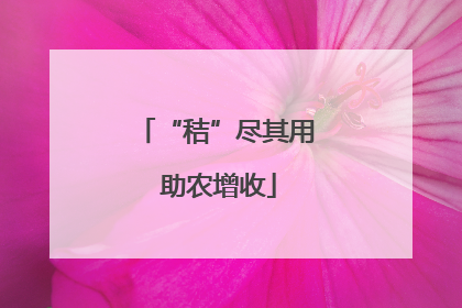 “秸”尽其用 助农增收