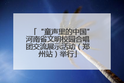 “童声里的中国”河南省文明校园合唱团交流展示活动（郑州站）举行