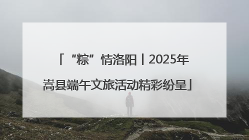 “粽”情洛阳丨2025年嵩县端午文旅活动精彩纷呈