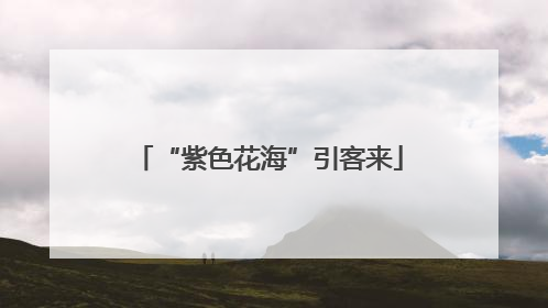 “紫色花海”引客来