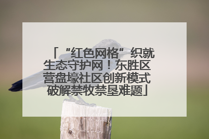 “红色网格”织就生态守护网！东胜区营盘壕社区创新模式破解禁牧禁垦难题