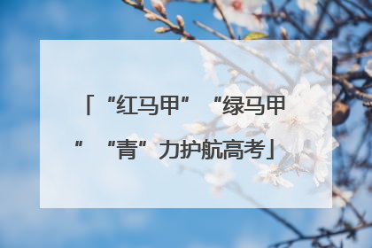 “红马甲”“绿马甲”“青”力护航高考