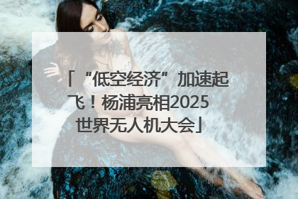“低空经济”加速起飞！杨浦亮相2025世界无人机大会