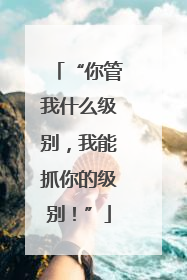 “你管我什么级别，我能抓你的级别！”