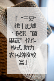 “三夏”一线丨肥城：探索“菌果蔬”轮作模式 助力农民增收致富