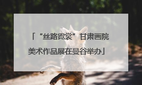 “丝路霓裳”甘肃画院美术作品展在曼谷举办