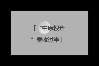 “中原粮仓”麦收过半