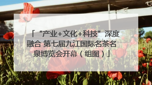 “产业+文化+科技”深度融合 第七届九江国际名茶名泉博览会开幕（组图）