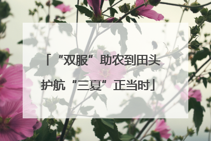 “双服”助农到田头 护航“三夏”正当时