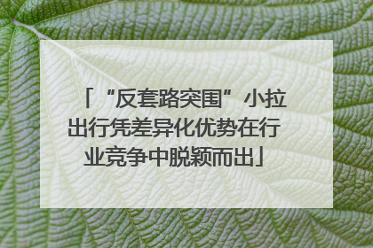 “反套路突围”小拉出行凭差异化优势在行业竞争中脱颖而出