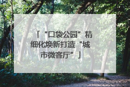 “口袋公园”精细化焕新打造“城市微客厅”