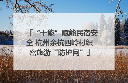 “十能”赋能民宿安全 杭州余杭四岭村织密旅游“防护网”