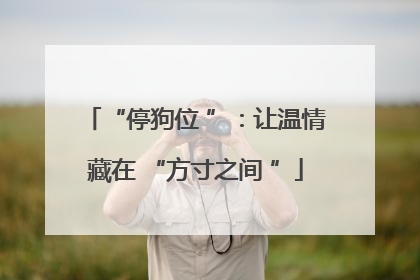 “停狗位 ”：让温情藏在 “方寸之间 ”