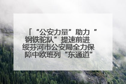 “公安力量”助力“钢铁驼队”提速前进 绥芬河市公安局全力保障中欧班列“东通道”绥芬河隧道贯通