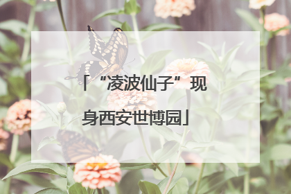 “凌波仙子”现身西安世博园