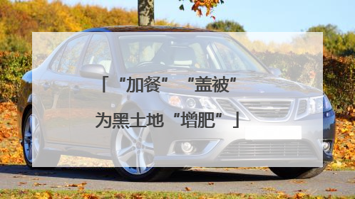 “加餐”“盖被” 为黑土地“增肥”