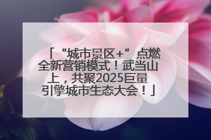 “城市景区+”点燃全新营销模式！武当山上，共聚2025巨量引擎城市生态大会！
