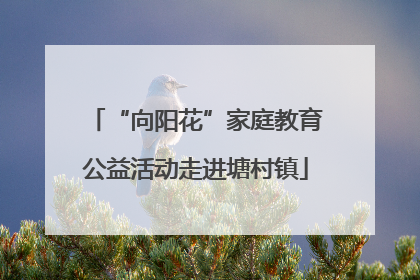 “向阳花”家庭教育公益活动走进塘村镇