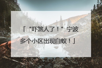 “吓煞人了！”宁波多个小区出现白蚁！