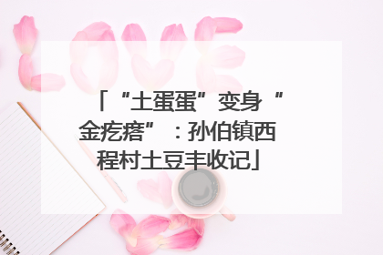 “土蛋蛋”变身“金疙瘩”：孙伯镇西程村土豆丰收记