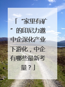 “家里有矿”的印尼力邀中企深化产业下游化，中企有哪些最新考量？