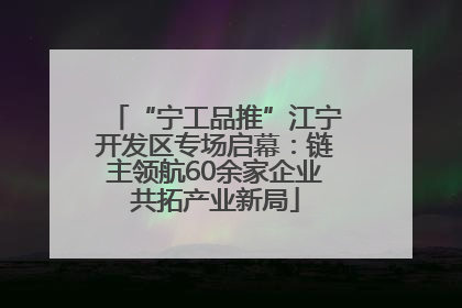 “宁工品推”江宁开发区专场启幕：链主领航60余家企业共拓产业新局