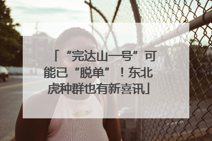 “完达山一号”可能已“脱单”！东北虎种群也有新喜讯