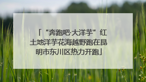 “奔跑吧·大洋芋”红土地洋芋花海越野跑在昆明市东川区热力开跑