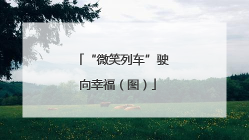 “微笑列车”驶向幸福（图）