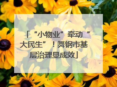 “小物业”牵动“大民生”！舞钢市基层治理显成效