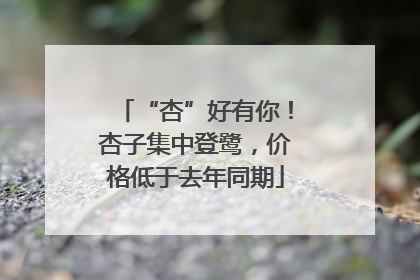 “杏”好有你！杏子集中登鹭，价格低于去年同期