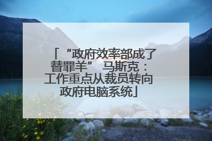 “政府效率部成了替罪羊” 马斯克：工作重点从裁员转向政府电脑系统