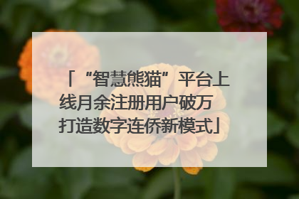 “智慧熊猫”平台上线月余注册用户破万 打造数字连侨新模式