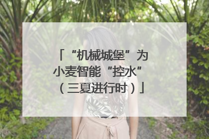 “机械城堡”为小麦智能“控水”（三夏进行时）