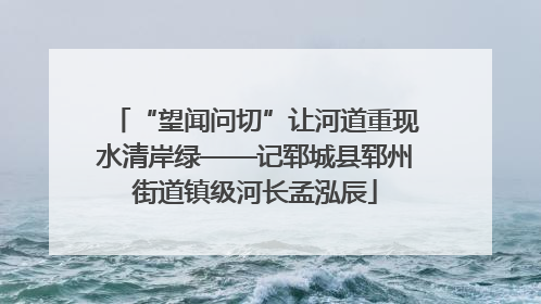 “望闻问切”让河道重现水清岸绿——记郓城县郓州街道镇级河长孟泓辰
