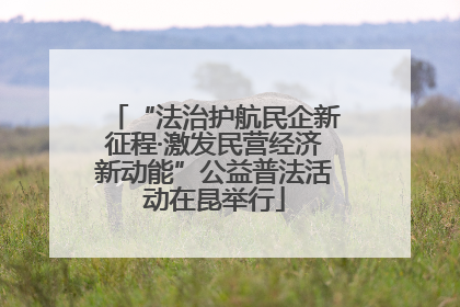 “法治护航民企新征程·激发民营经济新动能”公益普法活动在昆举行