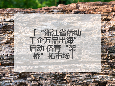 “浙江省侨助千企万品出海”启动 侨青“架桥”拓市场