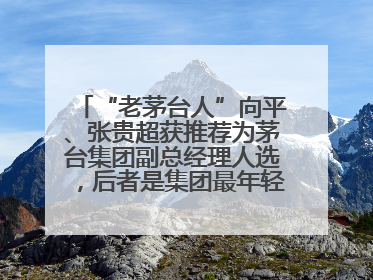 “老茅台人”向平、张贵超获推荐为茅台集团副总经理人选，后者是集团最年轻党委委员