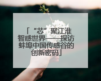 “芯”聚江淮 智感世界——探访蚌埠中国传感谷的创新密码