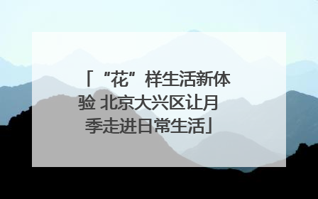 “花”样生活新体验 北京大兴区让月季走进日常生活