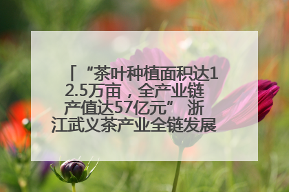 “茶叶种植面积达12.5万亩，全产业链产值达57亿元” 浙江武义茶产业全链发展“加速度”