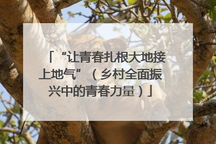“让青春扎根大地接上地气”（乡村全面振兴中的青春力量）